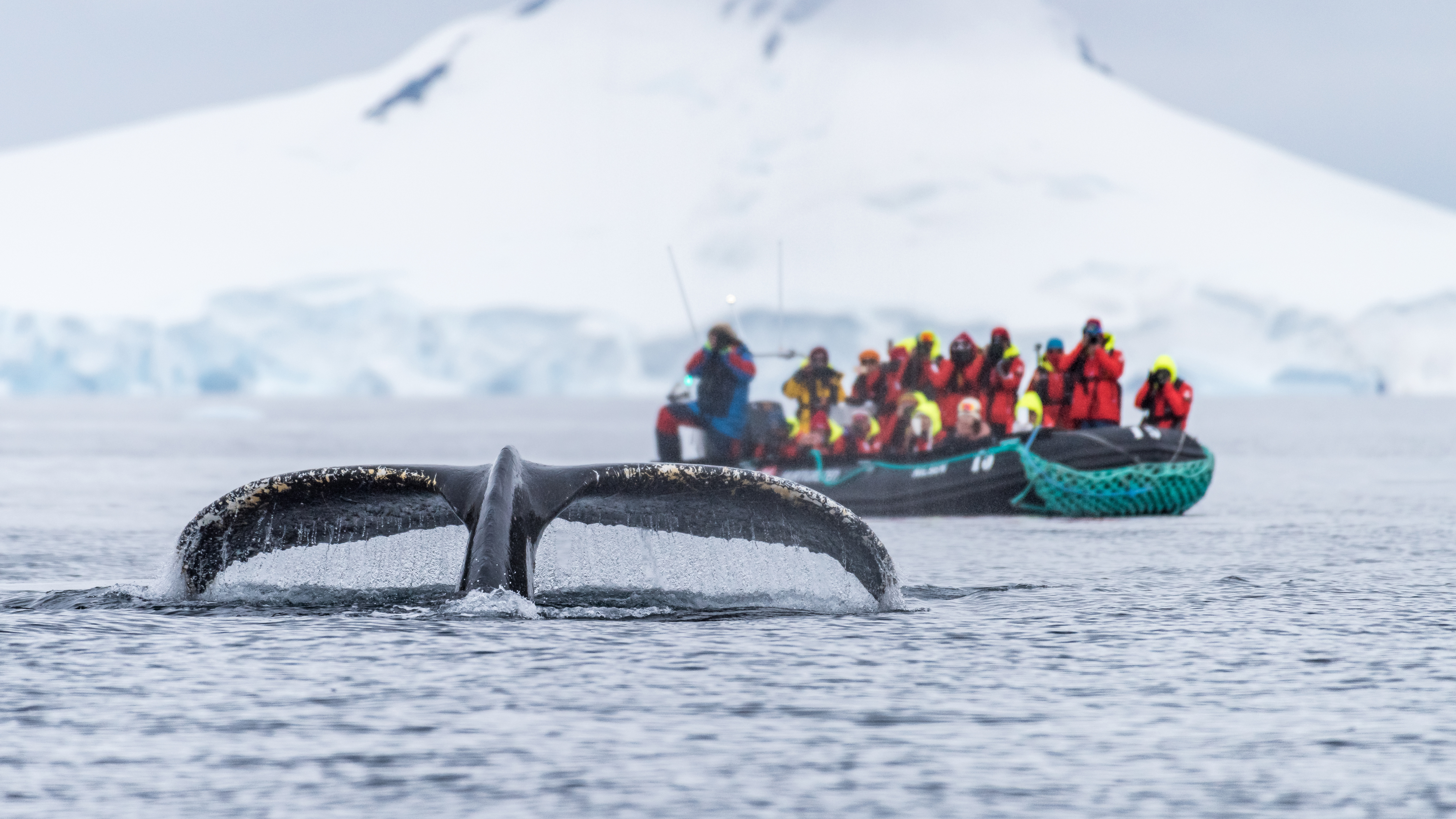 Hurigruten - Environment Sustainability Excursions 2.jpg